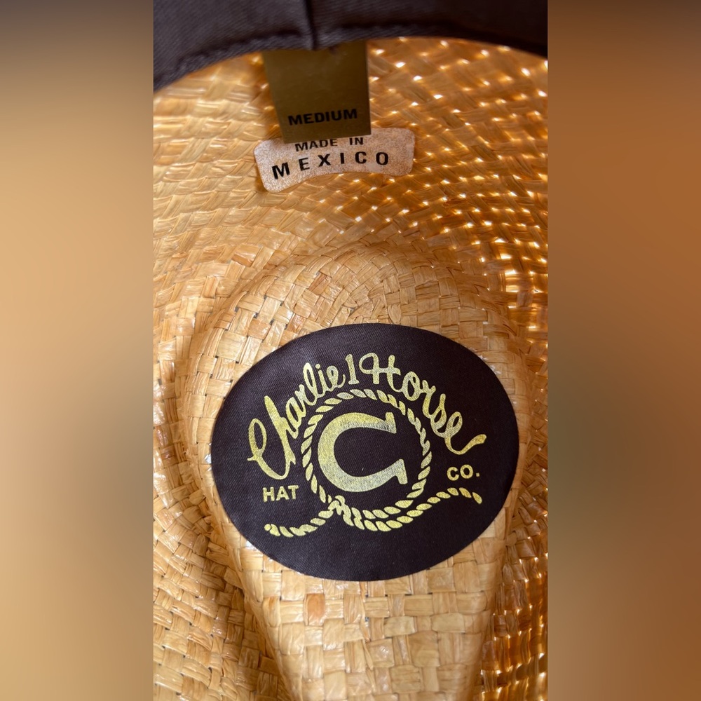 Charlie 1 Horse Hat Co, Straw Cowboy Hat, Medium - Picture 2 of 4